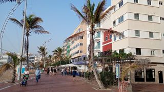 GC-Paseo Las Canteras (Las Palmas) 2026-162.jpg
